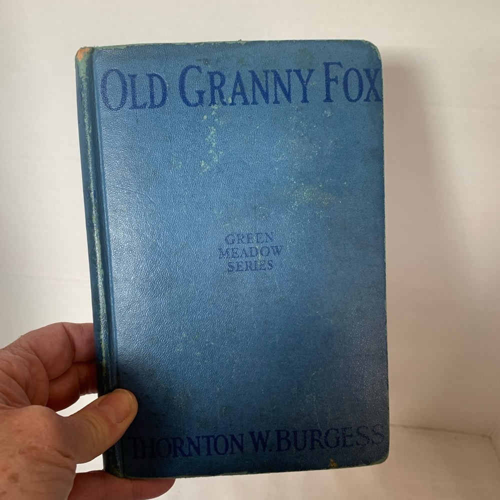 OLD GRANNY FOX  | Vintage Hardcover Kid’s Book